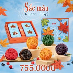 COMBO - SẮC MÀU 4 BÁNH