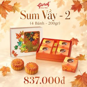 COMBO - SUM VẦY 2 HỘP 4 BÁNH